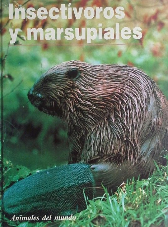 INSECT�VOROS Y MARSUPIALES