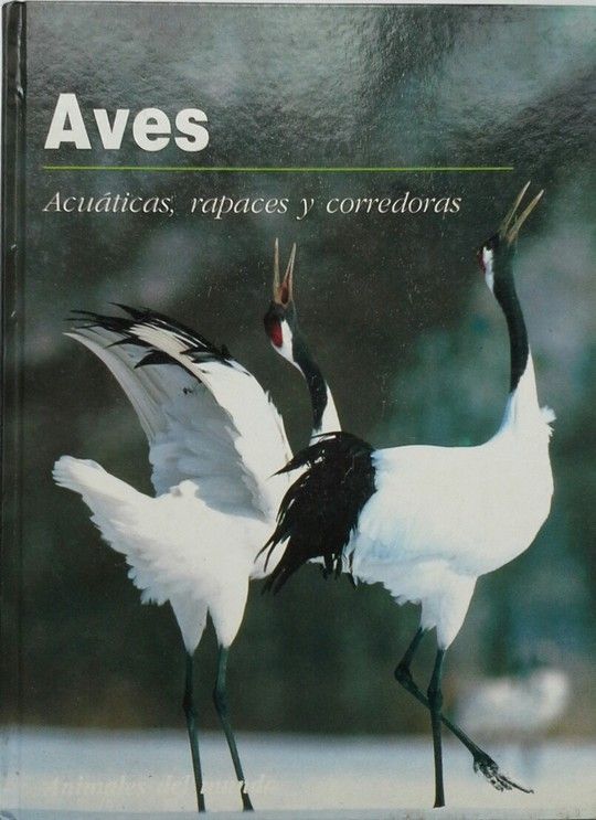 AVES I