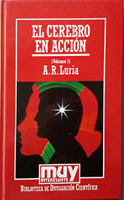 EL CEREBRO EN ACCI�N