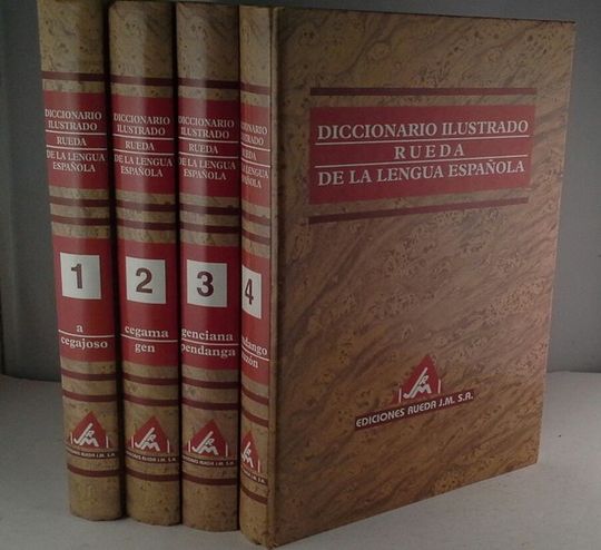 DICCIONARIO ILUSTRADO DE LA LENGUA ESPA�OLA RUEDA