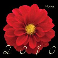 CALENDARIO 2010: FLORES