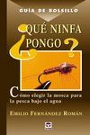 QUE NINFA PONGO? COMO ELEGIR LA MOSCA PARA LA PESCA BAJO EL AGUA