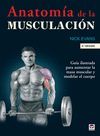 ANATOMA DE LA MUSCULACIN