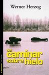 DEL CAMINAR SOBRE HIELO