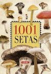 SETAS