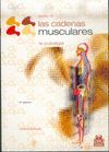 LA PUBALGIA. CADENAS MUSCULARES