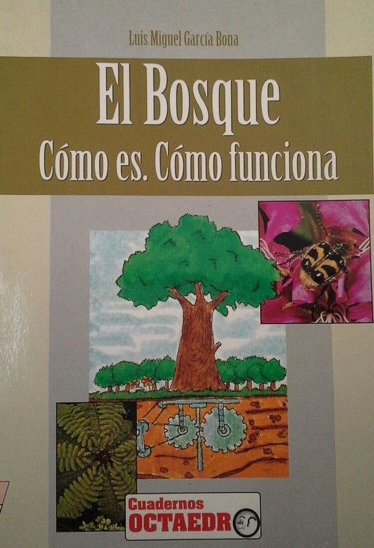 EL BOSQUE