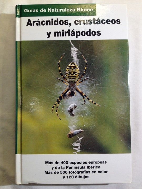 ARAAS, ARCNIDOS Y MIRIPODOS