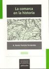 COMARCA EN LA HISTORIA,LA.UNA APROXIMACION A LA RECIENTE HISTORIA JURI