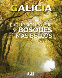 GALICIA. EXCURSIONES POR LOS BOSQUES MAS BELLOS