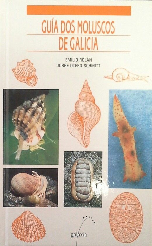 GUIA DOS MOLUSCOS DE GALICIA
