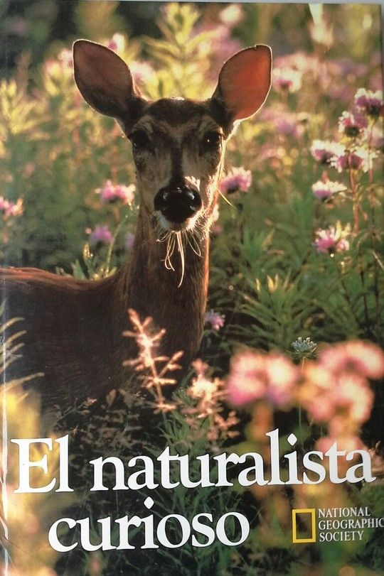 EL NATURALISTA CURIOSO