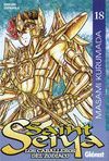 SAINT SEIYA