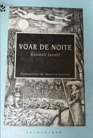 VOAR DE NOITE