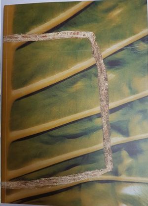 METAF�SICA SIN CIELO