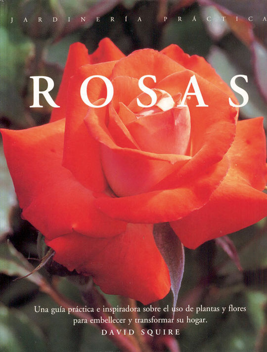 JARDINERIA PRACTICA: ROSAS
