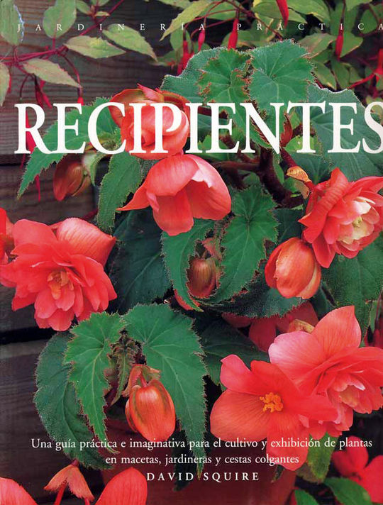 JARDINERIA PRACTICA: RECIPIENTES