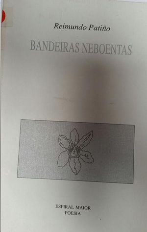 BANDEIRAS NEBOENTAS