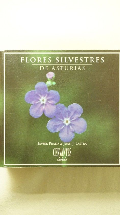 FLORES SILVESTRES DE ASTURIAS