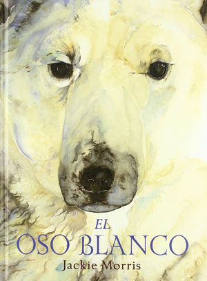 EL OSO BLANCO