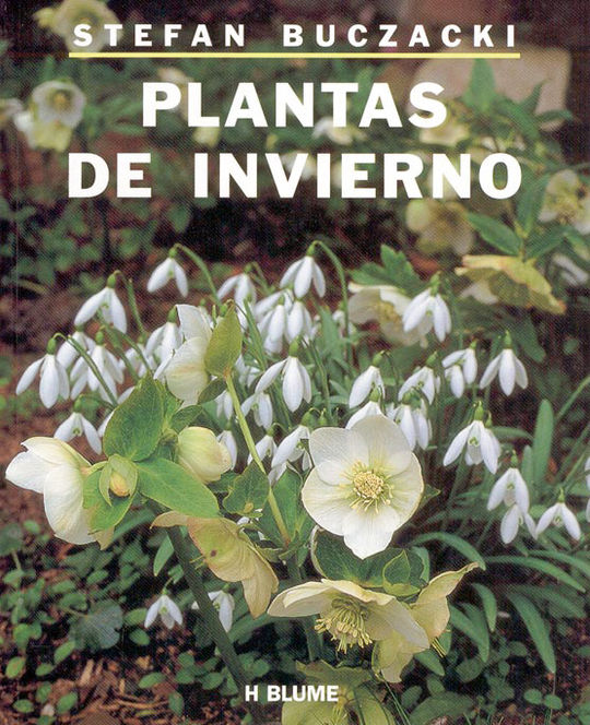 PLANTAS DE INVIERNO