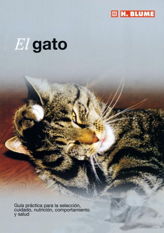 EL GATO