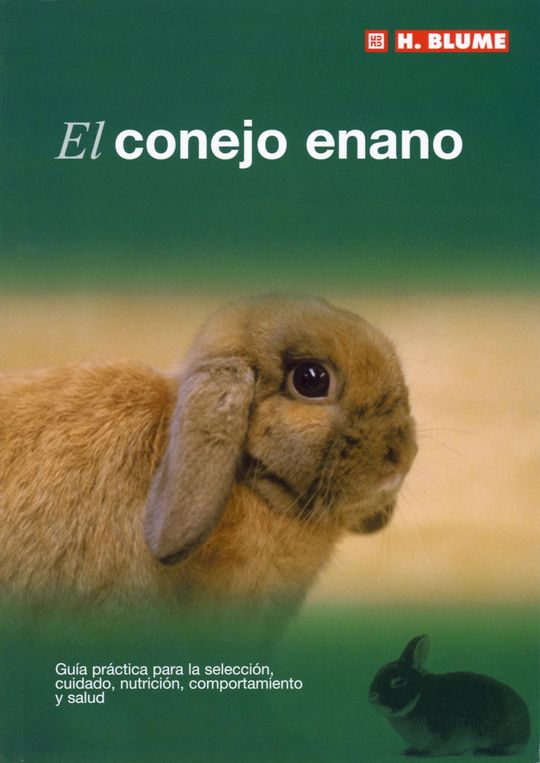 EL CONEJO ENANO