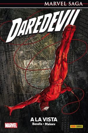 DAREDEVIL 6. A LA VISTA