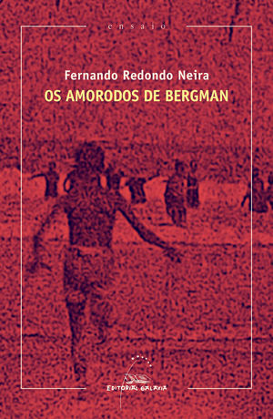 OS AMORODOS DE BERGMAN