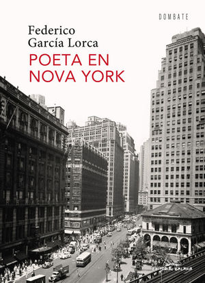 POETA EN NOVA YORK (GALEGO)