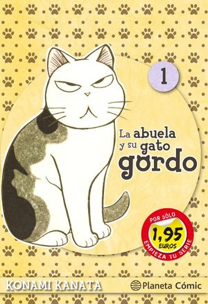 LA ABUELA Y SU GATO GORDO N 01