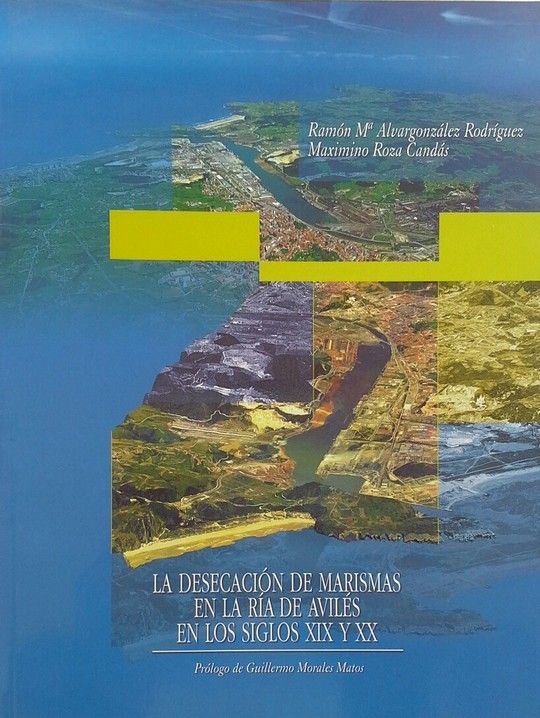 LA DESECACI�N DE MARISMAS EN LA R�A DE AVIL�S EN LOS SIGLOS XIX Y XX