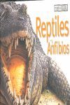 REPTILES Y ANFIBIOS