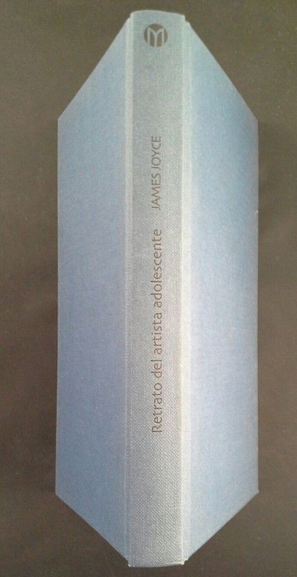 RETRATO DEL ARTISTA ADOLESCENTE