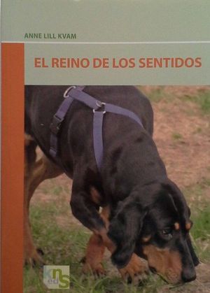 EL REINO DE LOS SENTIDOS