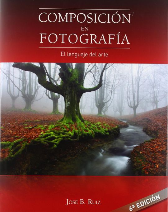 COMPOSICIN EN FOTOGRAFA