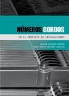 N�MEROS GORDOS EN EL PROYECTO DE INSTALACIONES