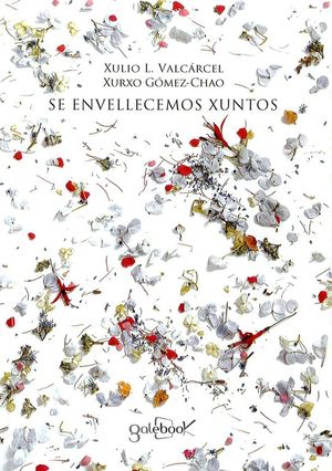 SE ENVELLECEMOS XUNTOS