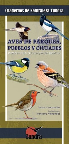 AVES DE PARQUES, PUEBLOS Y CIUDADES