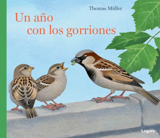 UN A�O CON LOS GORRIONES