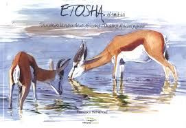 ETOSHA. NAMIBIA