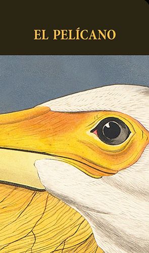 EL PEL�CANO