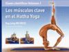 LOS M�SCULOS CLAVE EN EL HATHA YOGA