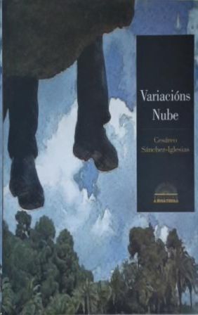 VARIACI�NS NUBE