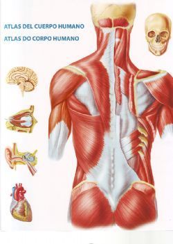 ATLAS DEL CUERPO HUMANO