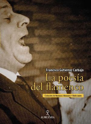 LA POES�A DEL FLAMENCO
