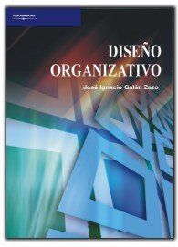 DISE�O ORGANIZATIVO