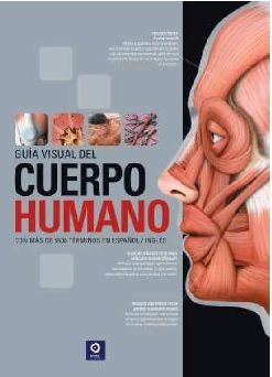 GUA VISUAL DEL CUERPO HUMANO