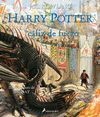 HARRY POTTER Y EL CALIZ DE FUEGO (EDICIN ILUSTRADA)