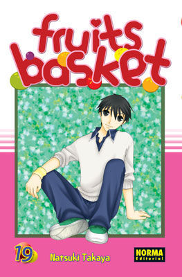 FRUITS BASKET 19